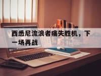 金年会安卓版-西悉尼流浪者痛失胜机，下一场再战