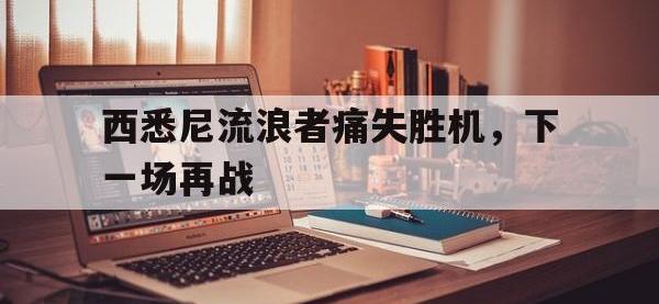 金年会安卓版-西悉尼流浪者痛失胜机，下一场再战
