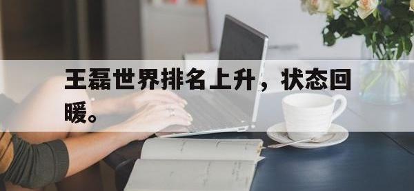 金年会ISO版-王磊世界排名上升，状态回暖。