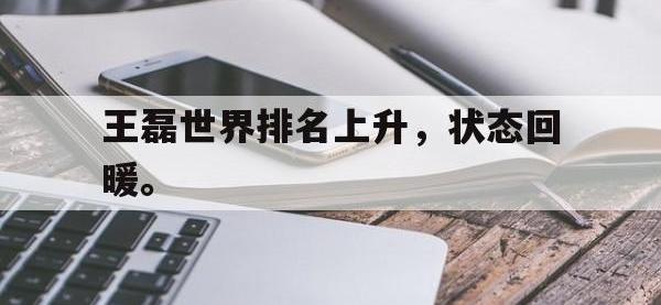 金年会ISO版-王磊世界排名上升，状态回暖。