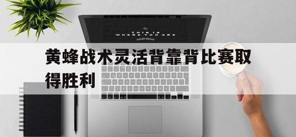 金年会ISO版-黄蜂战术灵活背靠背比赛取得胜利