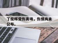 jinnianhui集团网站-丁俊晖受伤离场，伤情尚未公布。