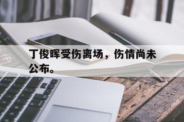 jinnianhui集团网站-丁俊晖受伤离场，伤情尚未公布。